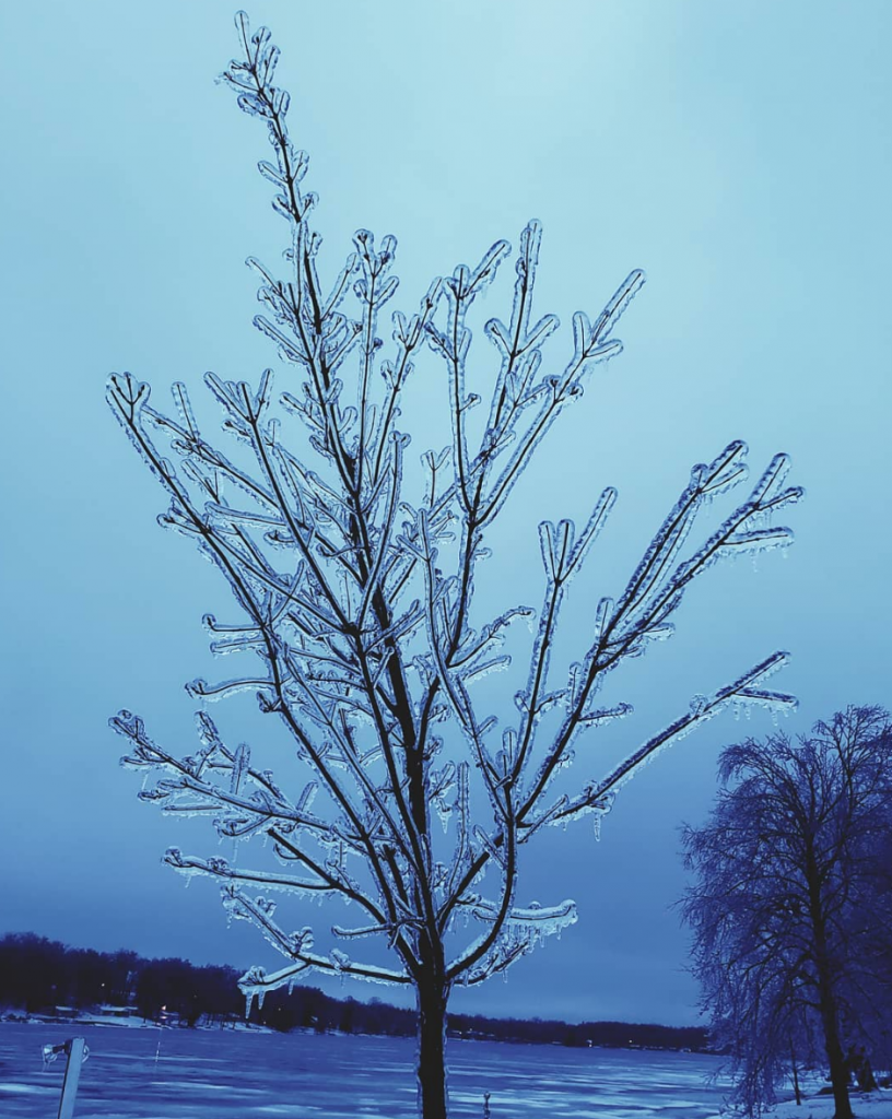 neve ghiaccio usa