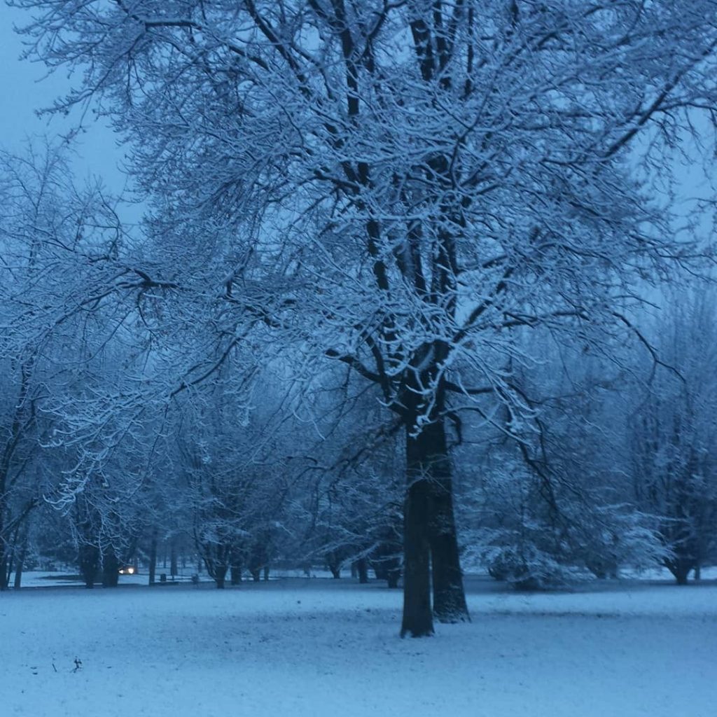 neve torino