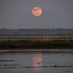 La Superluna di Neve incanta la notte della Terra: GALLERY spettacolare con tutte le FOTO da Roma, Milano e dal resto del Mondo