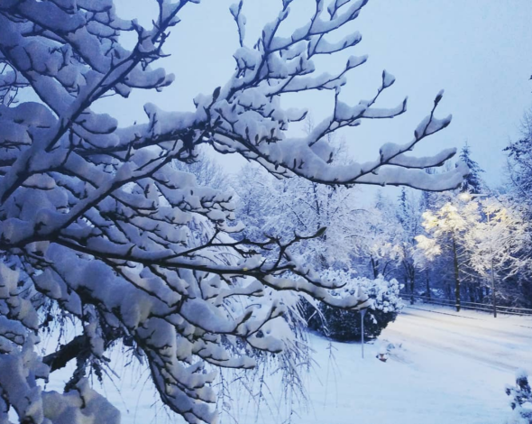 tempesta neve washington oregon