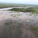 Ciclone Idai, scene strazianti dai racconti dei sopravvissuti: “La terra mi ha riempito la bocca, il naso e le orecchie”, “centinaia di cadaveri sul ciglio di una strada” [FOTO]