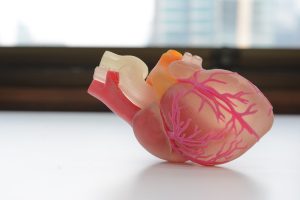 cuore 3d stampa bio