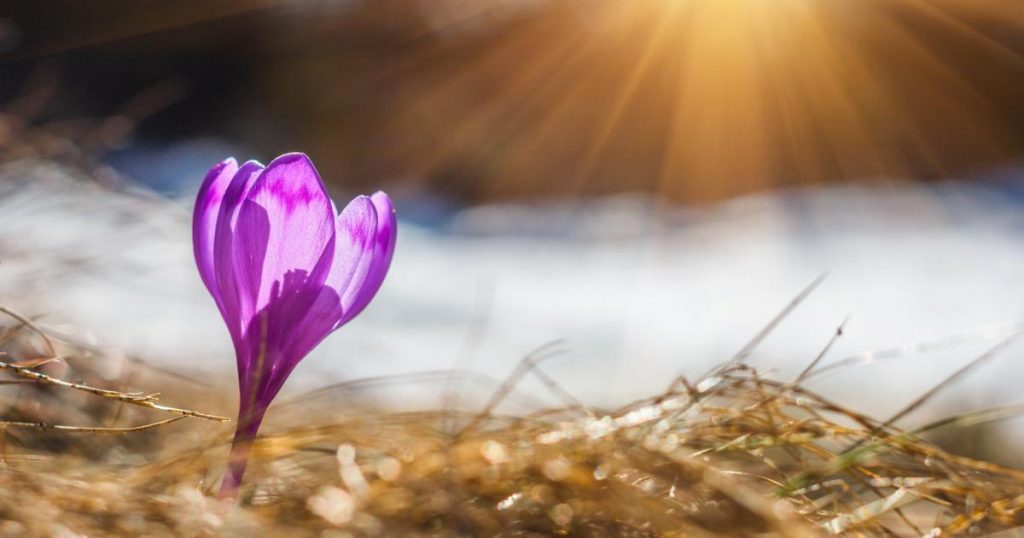 equinozio di primavera provrbi