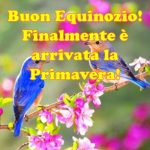 Buon Equinozio di Primavera 2019! Ecco le più belle IMMAGINI, GIF, FRASI, CITAZIONI e VIDEO da condividere oggi