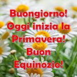 Privato: Equinozio 2019, Buongiorno e Buon Primo Giorno di Primavera! Ecco IMMAGINI e GIF da condividere oggi