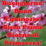 Privato: Equinozio 2019, Buongiorno e Buon Primo Giorno di Primavera! Ecco IMMAGINI e GIF da condividere oggi