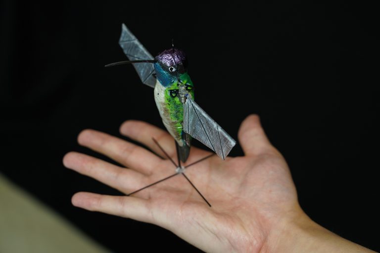 hummingbird robot colibrì