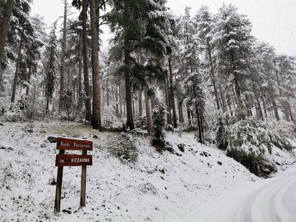 neve corsica