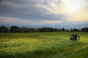 agricoltura biologica paesaggio