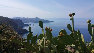 isole eolie sicilia panorama fichi d'india