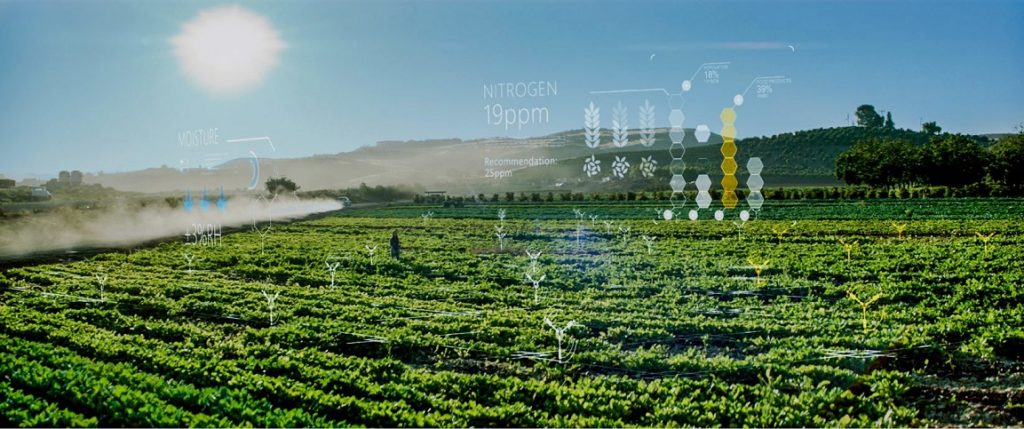 AI AGRICOLTURA MICROSOFT