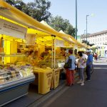 Caldo, al villaggio Coldiretti di Milano presentato il primo giardino taglia-afa che salva dallo stress [FOTO]