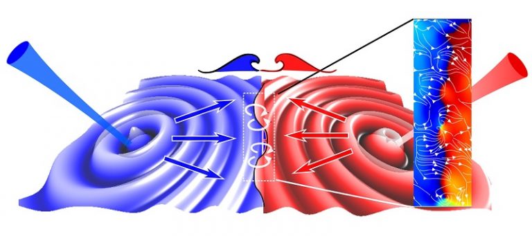 Fluidi quantistici di luce