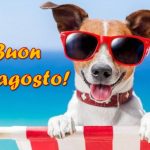 Buon Ferragosto 2019: IMMAGINI, GIF, VIGNETTE, VIDEO e FRASI per fare gli auguri su Facebook e WhatsApp