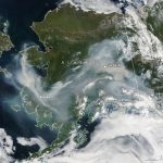 Incendi, l’Artico sta bruciando: fuoco in Alaska, Groenlandia e Siberia, “mai successo niente di simile, non sappiamo come l’atmosfera reagirà a una situazione così drammatica” [FOTO e VIDEO]