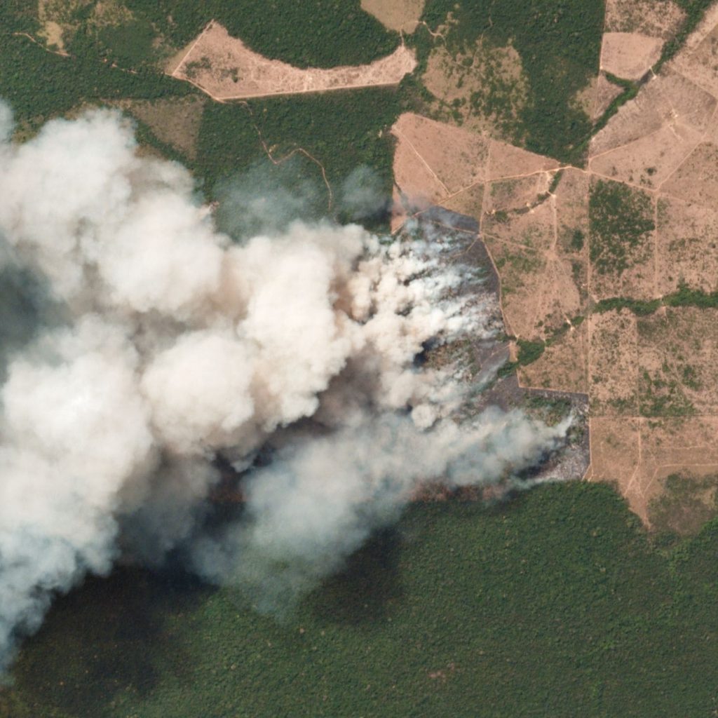 incendi amazzonia