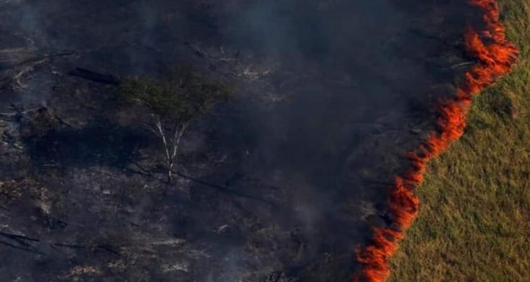 incendi amazzonia