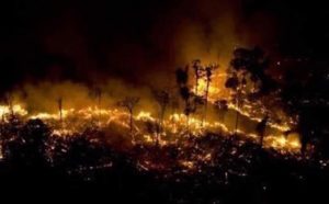 incendi amazzonia