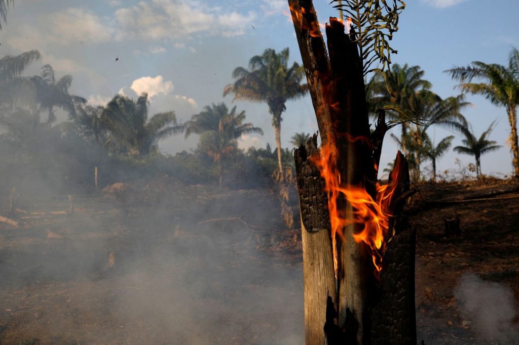 incendi amazzonia