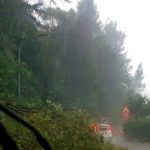 Maltempo Marche, pioggia e grandine ad Ascoli: strade allagate e decine di interventi. “Rimanete in casa” [FOTO]