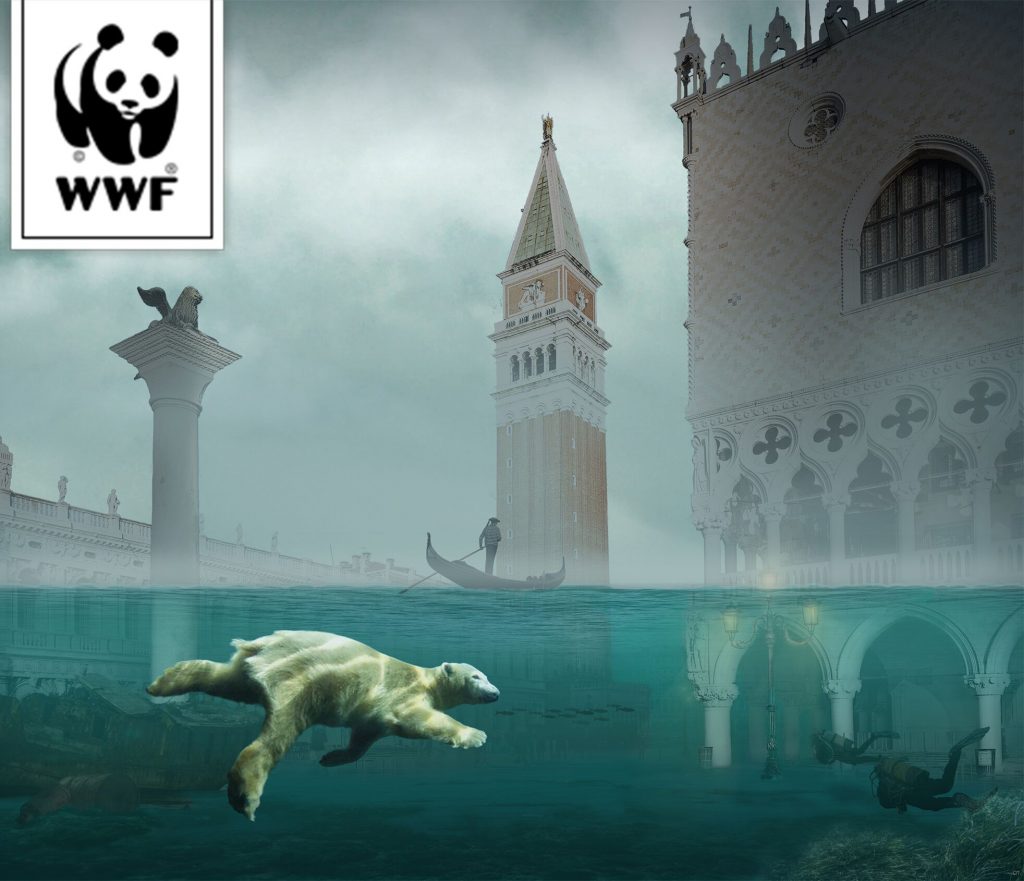 wwf venezia