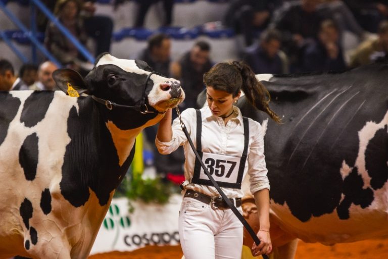 Fiere Zootecniche Internazionali di Cremona