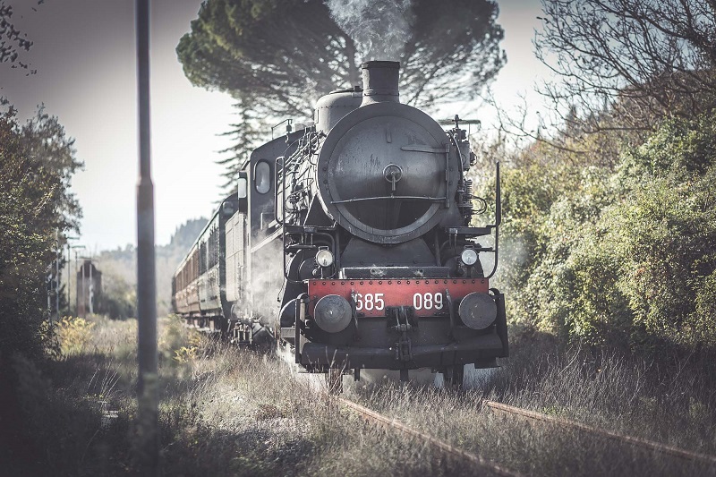 Da Siena e Grosseto a San Giovanni d’Asso con il Treno Natura per