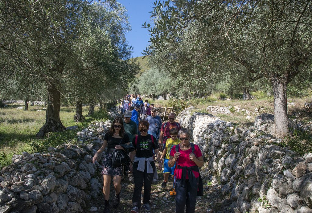 Venafro, Camminata tra gli olivi 2019