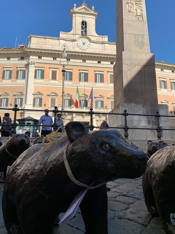 orsetti montecitorio