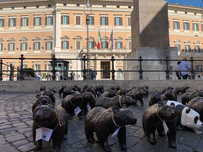 orsetti montecitorio