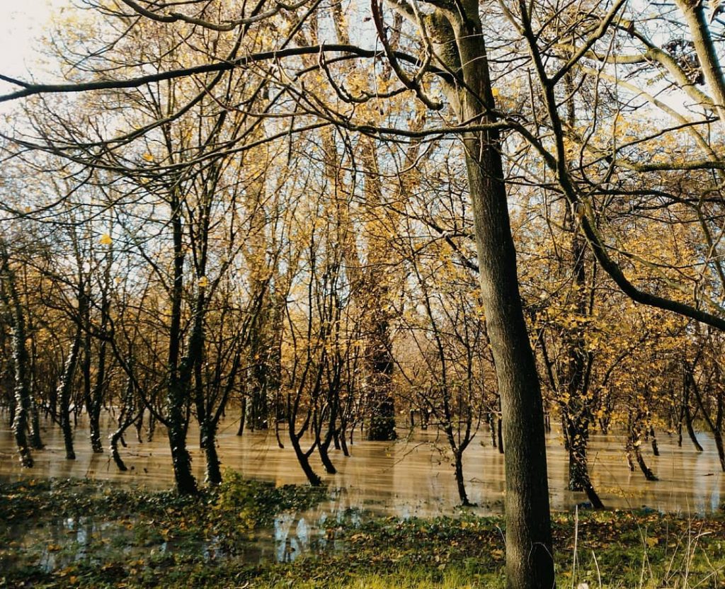 fiume po piena 27 novembre 2019