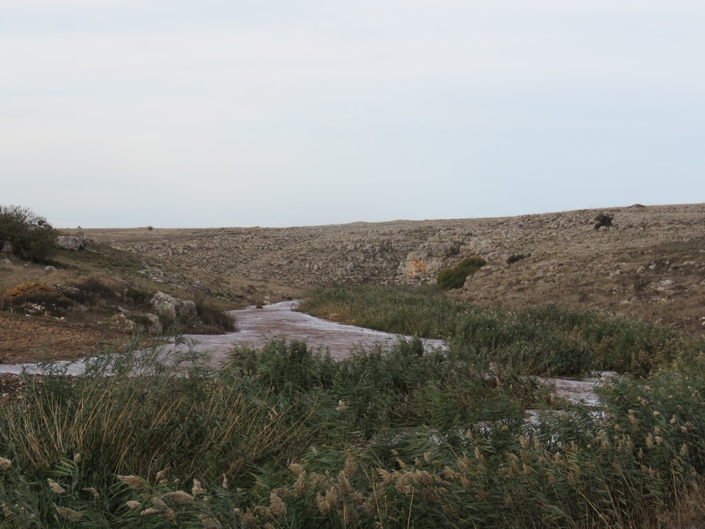 maltempo puglia ciclone mediterraneo 12 novembre 2019