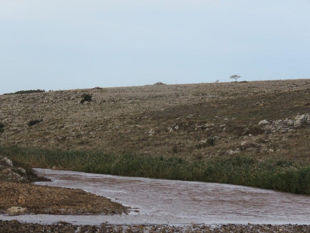 maltempo puglia ciclone mediterraneo 12 novembre 2019