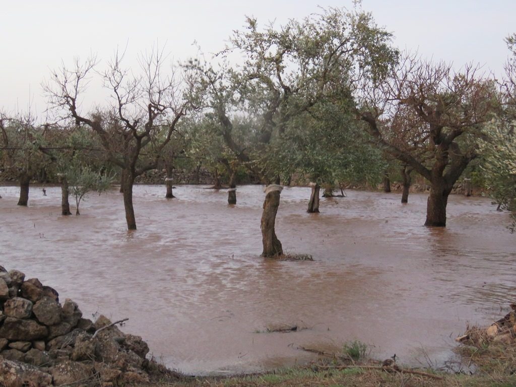 maltempo puglia ciclone mediterraneo 12 novembre 2019