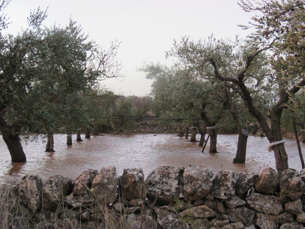 maltempo puglia ciclone mediterraneo 12 novembre 2019