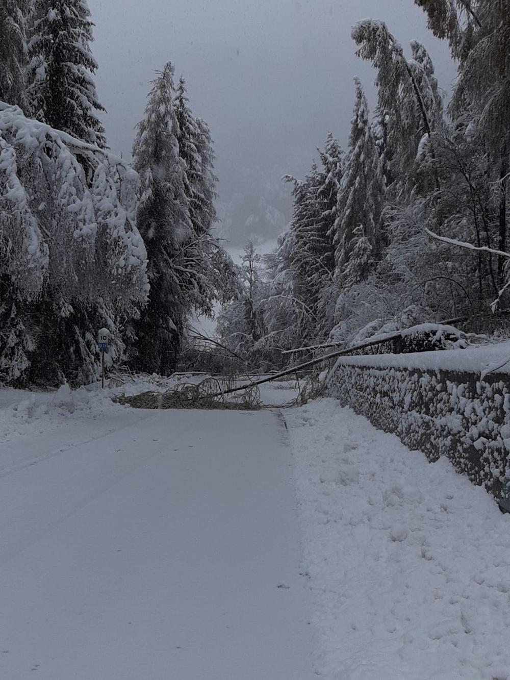 neve dolomiti alto adige 12 novembre 2019