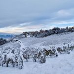 Maltempo, Italia di nuovo in ginocchio: la Tempesta Günther flagella il Paese, tanta NEVE al Nord. Allarme Scirocco