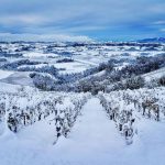 Maltempo, Italia di nuovo in ginocchio: la Tempesta Günther flagella il Paese, tanta NEVE al Nord. Allarme Scirocco