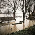 Allerta Meteo, la Piena del Po fa paura: “è tra le più grandi degli ultimi 20 anni”, preoccupazione per i “fontanazzi” [FOTO LIVE]