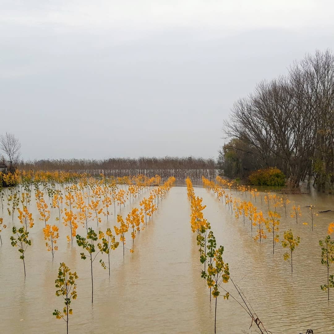 fiume po piena 27 novembre 2019