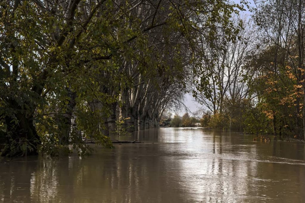 fiume po piena 27 novembre 2019