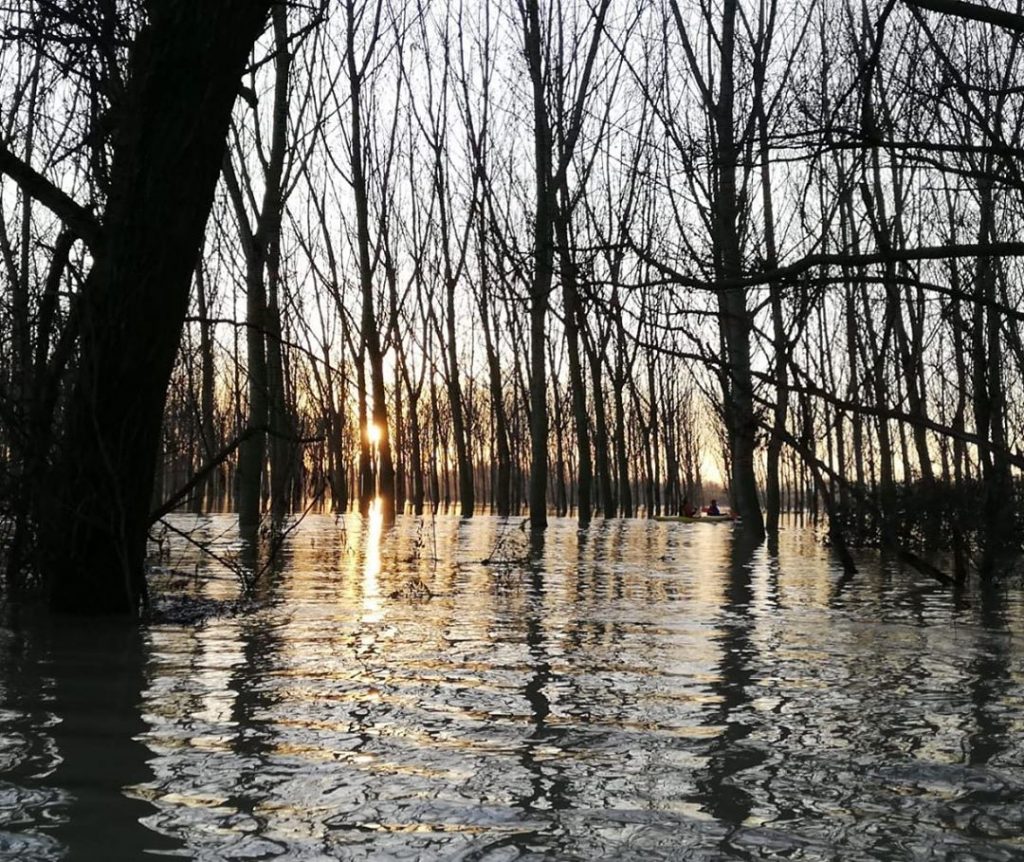 fiume po piena 27 novembre 2019