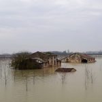 Allerta Meteo, la Piena del Po fa paura: “è tra le più grandi degli ultimi 20 anni”, preoccupazione per i “fontanazzi” [FOTO LIVE]