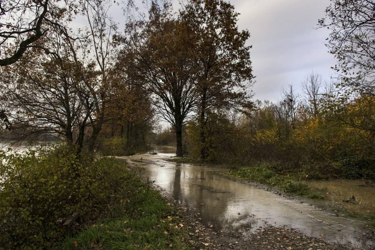 fiume po piena 27 novembre 2019