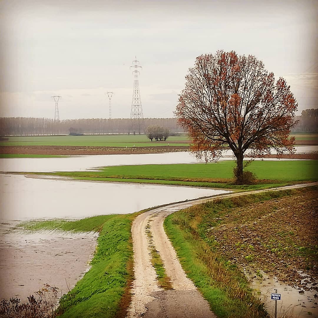 fiume po piena 27 novembre 2019