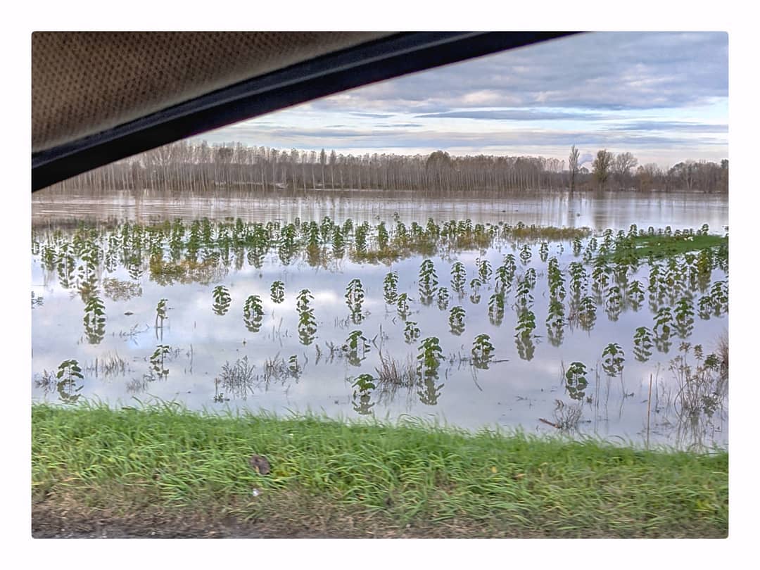 fiume po piena 27 novembre 2019