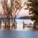 Allerta Meteo, la Piena del Po fa paura: “è tra le più grandi degli ultimi 20 anni”, preoccupazione per i “fontanazzi” [FOTO LIVE]