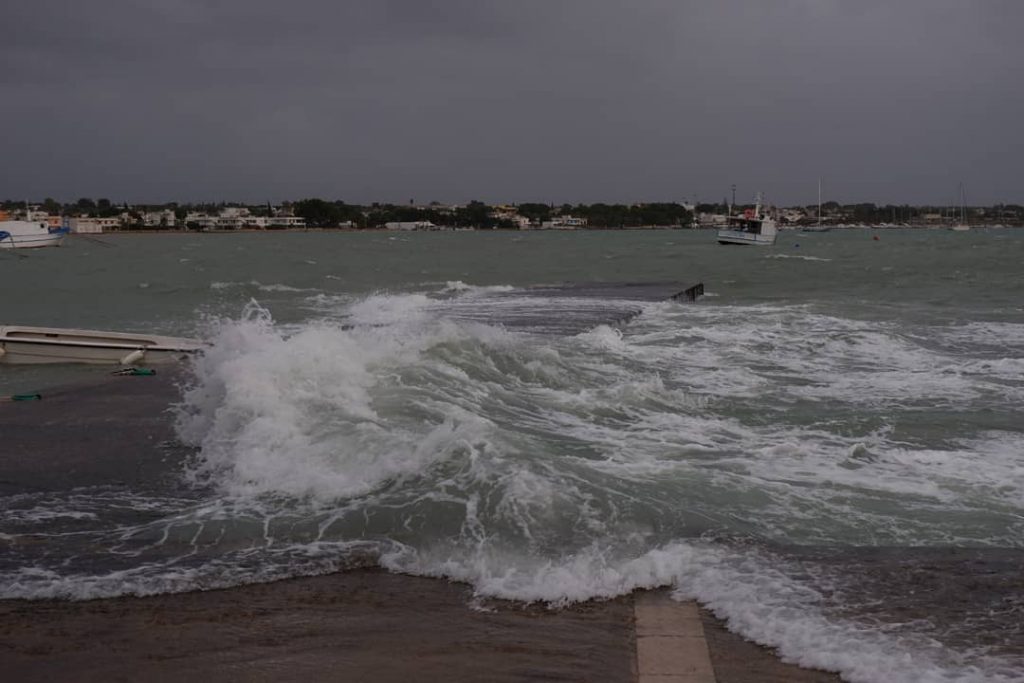 porto cesareo