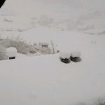 Valanga in Val Martello: massa di neve e alberi sradicati si abbatte sulle case [FOTO]