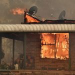 Incendi fuori controllo e caldo record in Australia: il Nuovo Galles del Sud dichiara lo stato d’emergenza